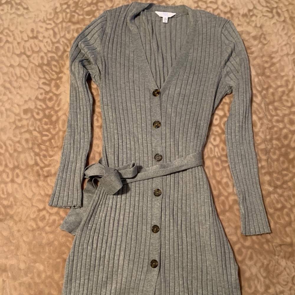 Time and true sweater dress